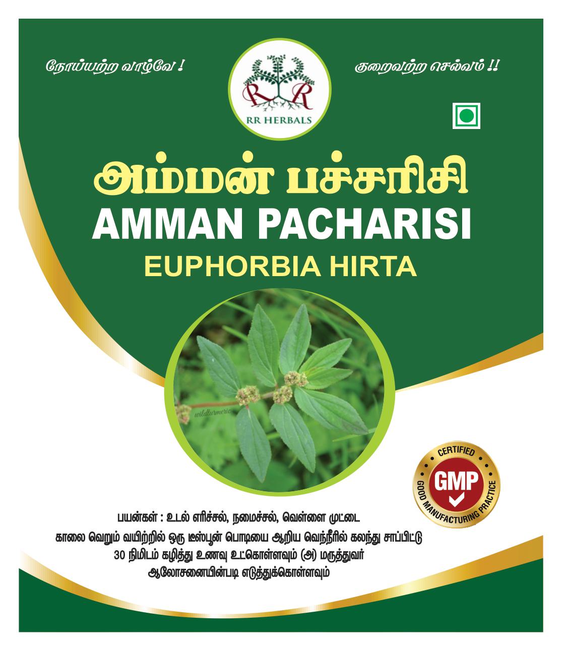 Amman Pacharisi